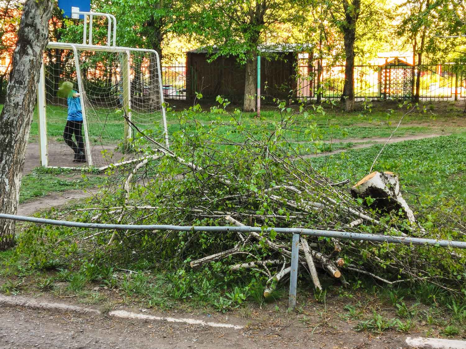 Порубки напротив 3 подъезда